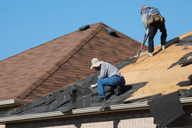 Best Asphalt Shingle Roofing  in Colesville, MD