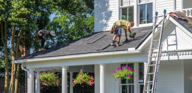 Best Roof Ventilation Installation  in Colesville, MD